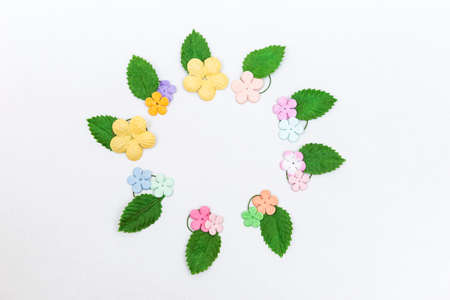 Paper leaves and flower arrange in round frame on white background, greeting card background idea, happy spring seasonの写真素材