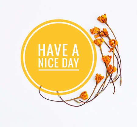 Have a nice day with Yellow dry flower arrange on white background, card background conceptの写真素材