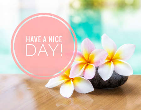 Have a nice day card idea, Beautiful fresh plumeria flower over blurred pool water background,...