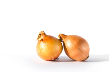 Fresh onion on white background, morning day light, healthy foodの写真素材