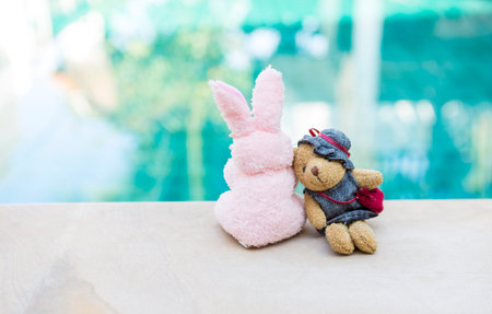 Pink rabbit and little teddy bear sitting on swimming pool edge, outdoor day light, best friend, friendship conceptの写真素材
