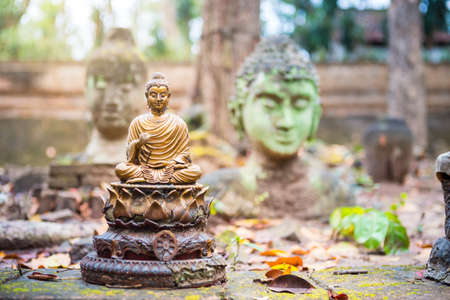Ancient Buddha statute over blurred ancient ruins background, religion and faith concept, Buddhism...