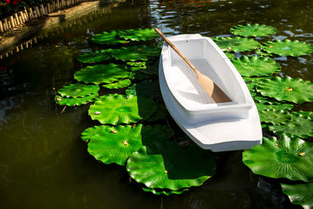 White plastic wooden boat with wood paddle floating on natural pond with green lotus leaf, tropical garden decoration, outdoor day light, tropical park in Thailandの写真素材