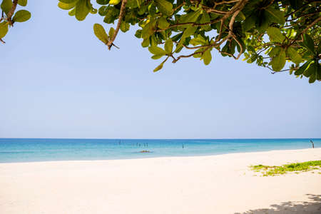 Sunny day on the beach, summer holiday destination, tropical beach backgroundの写真素材