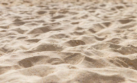 Closeup beach sand background, nature texture backgroundの写真素材