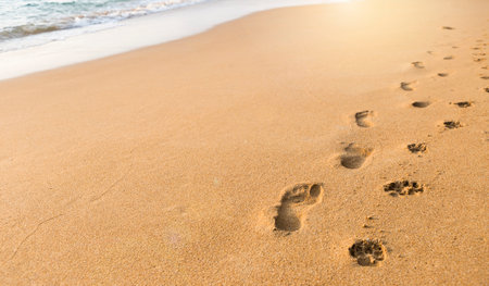 Foot print on clean sandy beach, nature concept, relaxing by the seaの写真素材