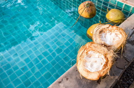 Fresh coconut fruit on swimming pool edge, tropical fruit, organic growth coconut in Thailand, coconut harvestingの写真素材