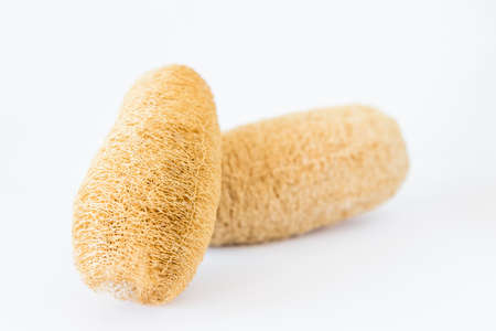Dry luffa sponge on white background, natural fiber product for skin cleaningの写真素材