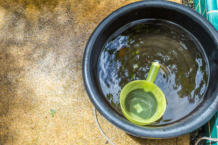 Collected rain water in black plastic basin with green plastic bowl with handle, water saving in Thailandの写真素材