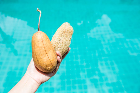 Dry luffa gourd in girl hand with space on blurred water background, outdoor day light, natural...