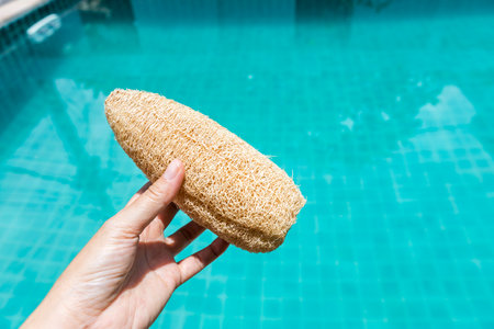 Luffa gourd in girl hand with space on blurred water background, outdoor day light, natural fiber scrub for healthy skinの写真素材