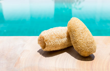 Dry luffa gourd in on swimming pool edge, outdoor day light, natural fiber scrub for healthy skinの写真素材