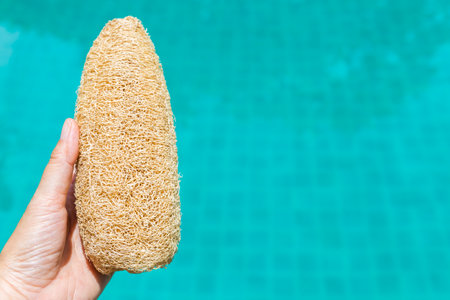 Closeup Luffa gourd in girl hand with space on blurred water background, outdoor day light, natural fiber scrub for healthy skinの写真素材
