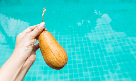 Dry luffa gourd in girl hand with space on blurred water background, outdoor day light, natural fiber scrub for healthy skinの写真素材