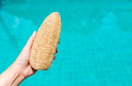 Closeup Luffa gourd in girl hand with space on blurred water background, outdoor day light, natural fiber scrub for healthy skinの写真素材