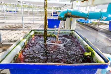 Storage bin for nutrition solution of Hydroponic system, water with nutrient solution in old storage binの写真素材