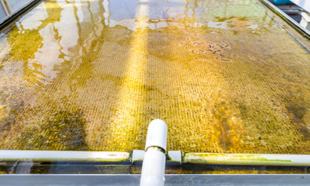 Water tray for Hydroponic Planting Sponge, old tray with water circulation in Hydoponic farming