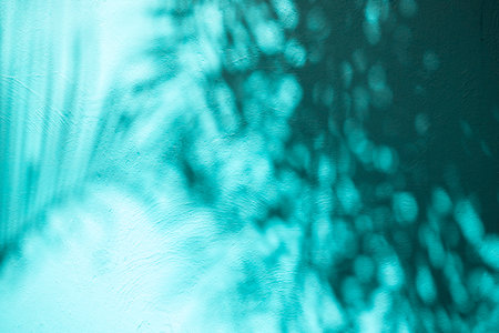 Abstract leaves shadow on cement wall background, blue filter effect