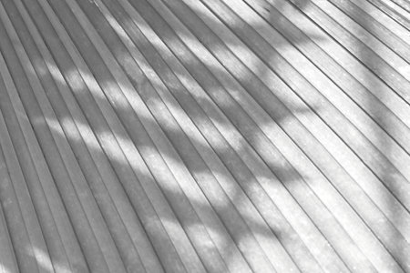 Abstract grey palm leaf texture background, tree shade on palm tree, gray tone style