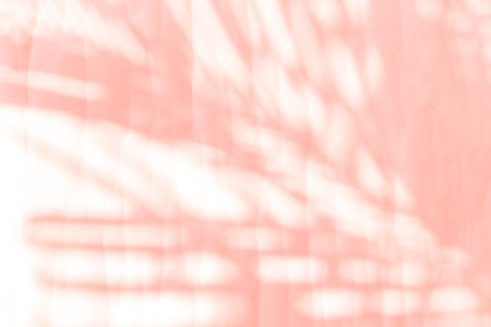 Pink palm leaves shadow on white paper texture background, blank white paper with leaves pattern...