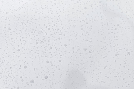 Water drops on white background, water drops pattern backgroundの写真素材