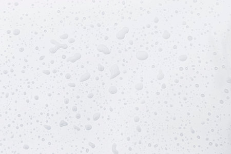 Water drops on white background, water drops pattern backgroundの写真素材
