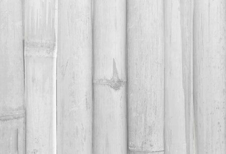 Grey bamboo wood fence background, nature texture background