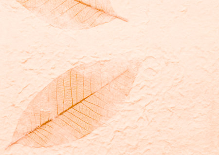 Orange paper with dry leaves pattern background, blank orange paper texture backgroundの写真素材