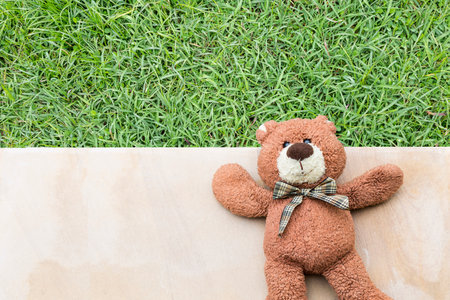 Teddy bear with nature backgroundの写真素材