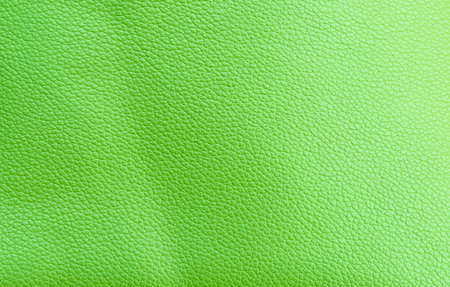 Blank green leather texture background, empty green leather pattern backgroundの写真素材