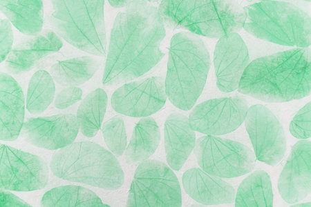 Green leaves pattern on paper background, closeup natural leaves texture backgroundの写真素材