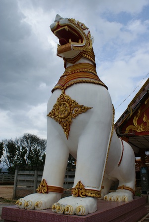 White Singha at the templeの写真素材