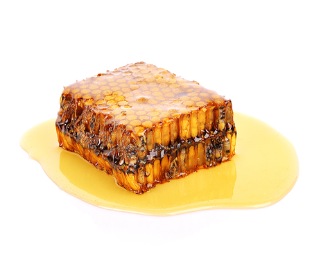 honey comb on white background.の写真素材