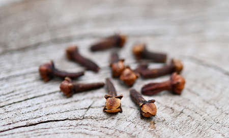 Cloves (flower buds of Syzygium aromaticum). Clipping paths, shadow separated on wood ;herb for health..close up.の写真素材