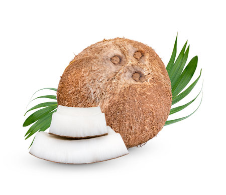 Old coconut piicese with leaves  on white background.の写真素材