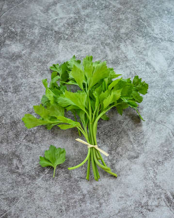 Fresh celery leaves and stalks on rustic dark grey background.  preparation, healthy eating lifestyle. (top view photo.)の写真素材