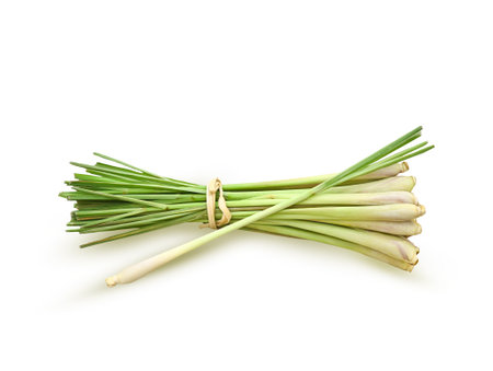 Fresh lemongrass plant isolated on white background ,  flat lay .の写真素材