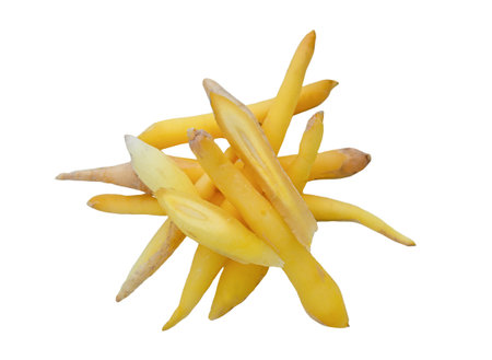 Fresh, sliced root on a white background.の写真素材