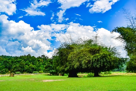 Sky and meadow landscapeの素材