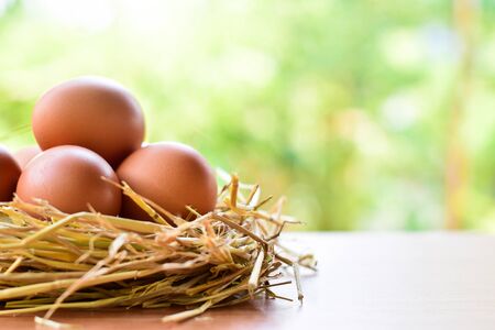 Eggs placed in a nest made from straw on wood table and nature background with copy space
