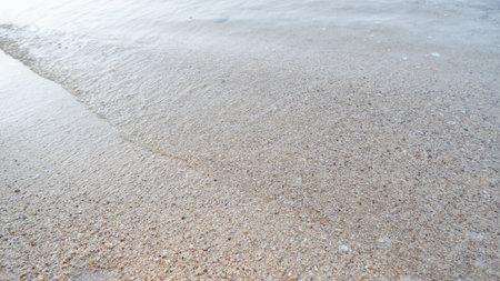 Soft wave of the sea on the sandy beach. Natural background.