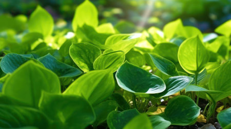 Nature of green leaves in the summer garden. Natural green leaf plants use as spring or summer background. green environment ecology wallpaper front cover Generated with AIの素材