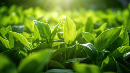 Nature of green leaves in the summer garden. Natural green leaf plants use as spring or summer background. green environment ecology wallpaper front cover Generated with AIの素材