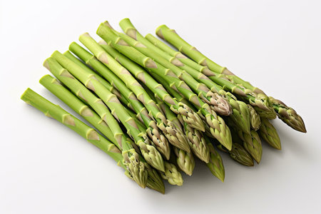 A bunch of fresh, green asparagus is perfectly aligned on a white background,の素材