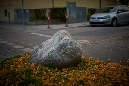 ginkgo leaves around a stone in munichの写真素材