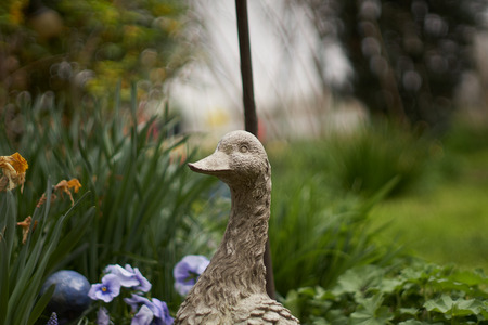 ceramic goose in the flower garden in springの写真素材