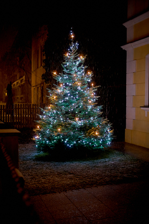 This Snow Covered Christmas Tree stands out brightly against the dark blue tones of this snow covered sceneの写真素材