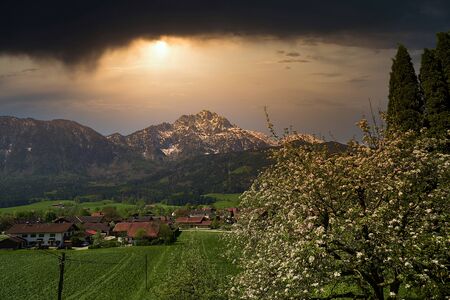 Panoramic view of beautiful landscape in the Alps with fresh green meadows and blooming flowers and snow-capped mountain tops in the background in springtimeの写真素材