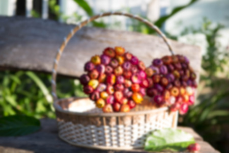 Blurry Dry straw flower in the bamboo basketの写真素材