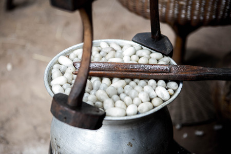 Traditional draw a silk from cocoons in north-east of Thailandの写真素材